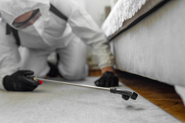 Professional Mosquito Control technician working in West Lake Hills, TX