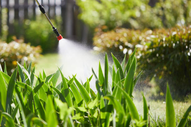 24/7 Emergency Mosquito Control experts in West Lake Hills, TX