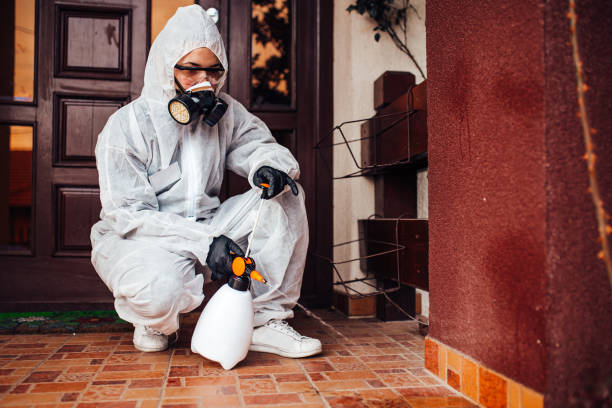 Reliable Mosquito Control contractor in West Lake Hills, TX by Nex Pest Control