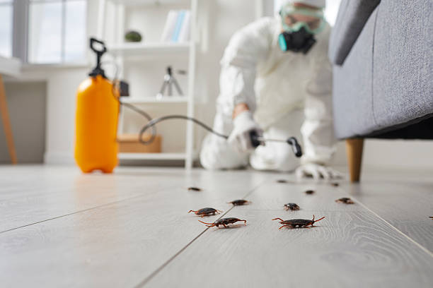 Trusted Cockroach Control service in West Lake Hills, TX - Nex Pest Control