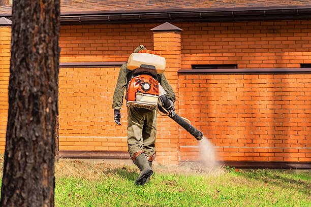 Trusted Rodent Control service in West Lake Hills, TX - Nex Pest Control